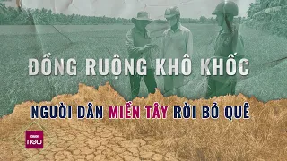 Nóng 24h: Hạn mặn khốc liệt, người dân miền Tây bàn nhau chấp nhận bỏ ruộng, bỏ đồng để mưu sinh