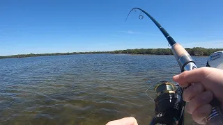 Day 1 Fishing with Capt. James Kerr