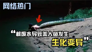 网络热门美人鱼事件：核废水导致人鱼变异？