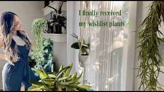 Plant Unboxing | Planterina.com + Plant Supply Essentials