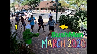 BUSHMAN MARCH 2020 HAWAII