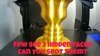 Vase or Face? 3D Printed Optical Illusion Time Lapse On Creality Ender 3 Pro