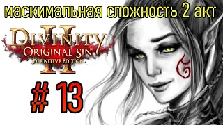 Divinity: Original Sin 2 (Максимальная Сложность) — Часть 13 — Решаем Вопросы в Троллями