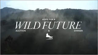 "Hope for a Wild Future" Auction 2022 | Main Stage Full Recording