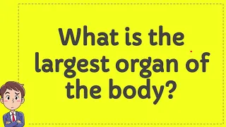 What is the largest organ of the body?