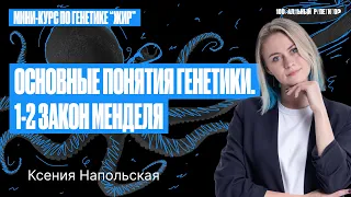 Основные понятия генетики. 1, 2 закон Менделя | Ксения Напольская 100бальный