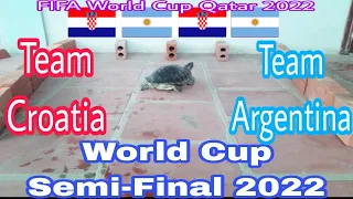 CROATIA vs ARGENTINA | World Cup Semi-Final 2022 | The Predicting Turtle