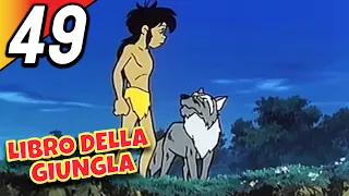 LIBRO DELLA GIUNGLA | Episodio 49 | Italiano | The Jungle Book