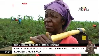 Por Angola: Combate à fome em Malanje revitaliza o sector da agricultura na comuna do Kota em Cala