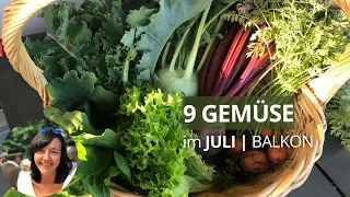 9 Gemüse die du im Juli auf dem Balkon aussäen und pflanzen kannst - für die Ernte im Herbst/Winter