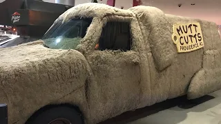 Mutt cutts van from Dumb And Dumber