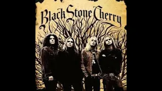 Black Stone Cherry - Me And Mary Jane Karaoke