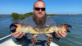 Catching $100’s of dollars of STONE CRAB! Catch, Clean, Cook