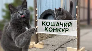 КОШАЧИЙ КОНКУР | Kotyata Jump