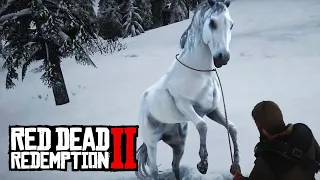 БЕЛАЯ АРАБСКАЯ ЛОШАДЬ ⇒ Red Dead Redemption 2 #16