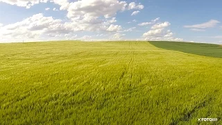 Campos de trigo y viento en la comarca de Los Oteros (León)