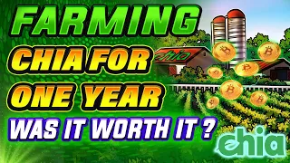 Chia Farming / Mining Profits Over the Past Year! Was It Worth It?