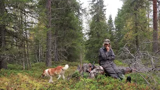 Piikun kuulumisia. Ajatuksia koiranpidosta