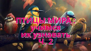 Птицы мира: учимся их узнавать. Ч. 2