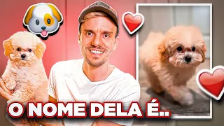 REVELAMOS O NOME DA NOSSA CACHORRA 😍