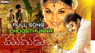 Mogudu Telugu Movie Choosthunna Full Song || Gopichand, Tapasee