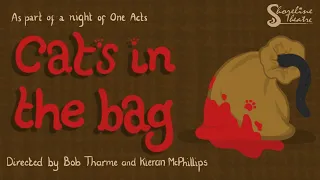 CATS IN THE BAG