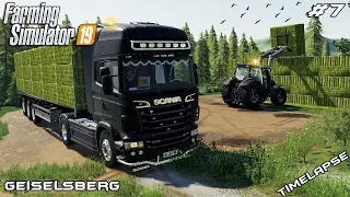 Baling hay & collecting bales | Animals on Geiselsberg | Farming Simulator 19 | Episode 7