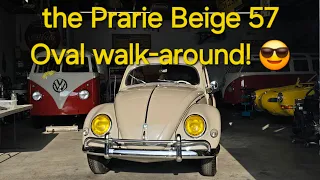 Walk-around of the STUNNING Prarie Beige 57 VW Oval Window Beetle- Perfection!
