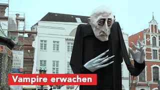 Vampir aus Winterschlaf erwacht