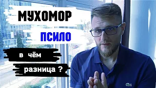 МУХОМОР и ПСИЛО / Это абсолютно разные учителя...