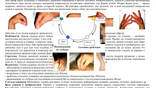 Массаж игры 5 зверей .