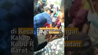 VIRAL! PERAMPOK BERSENJATA  MENANGIS SAAT DITANGKAP MASSA DI KALBAR