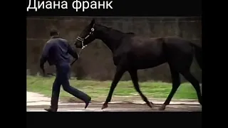 Резвая 🏇💓 клип 💓 🏇