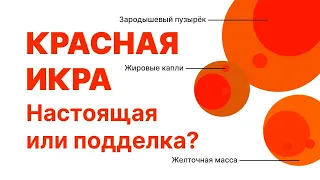 Как отличить настоящую красную икру от искусственной? Лайфхак