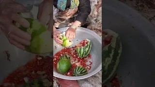watermelon seed production in the village | How watermelon seeds are produced in rural life