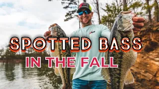 Spotted Bass Fishing in the Fall