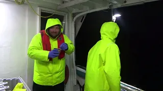 A Cold One || Lobster Fishing