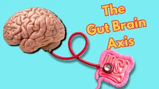 What's Really Going On Between Your Gut and Brain?