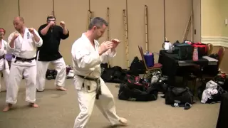 Seirenkai Karate- Drill for Kumite Tai Sabaki