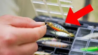 Trout LOVE These JAPANESE Baits But Nobody Knows About Them!!! Trout Gear Breakdown!!