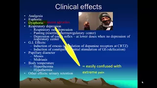 Clinical effects of opioids in veterinary medicine