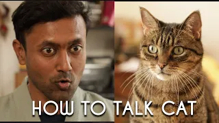 How to Talk to Your Cat | Learn CAT 101