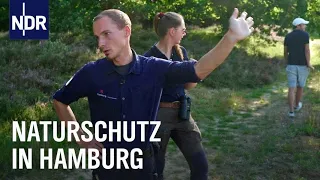 Auf Streife mit Hamburgs Naturschützern | Die Nordreportage | NDR Doku