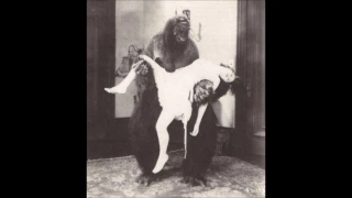 Decades of Horror: The Gorilla