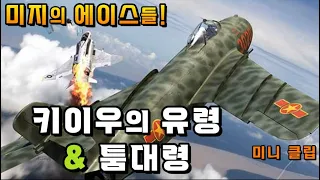 심리전이 만들어낸 영웅과 괴담 / 키이우의 유령 & 툼대령 / 베트남항공전 미니클립