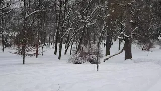 Богдан Бойко " Сніг кружляє ". Краєвиди Львова.