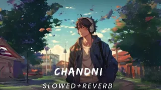 Chandni (Slowed + Reverb)