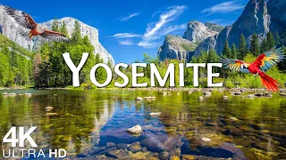 Yosemite National Park 4K Ultra HD - Stunning Footage, Scenic Relaxation Film with Relaxing Music