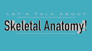 Skeletal Anatomy Dogs, Cats, Horses, Cows (VETERINARY TECHNICIAN EDUCATION)