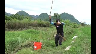 废弃老鱼塘意外收获米级巨鳝，阿琪激动的哇哇大叫，走大运了#钓黄鳝 #钓鱼 【农村阿琪】